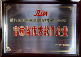 丽明公司2015年被授予优秀软件企业称号